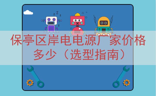 保亭区岸电电源厂家价格多少（选型指南）